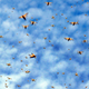 Image for article titled Las Vegas is Literally Crawling with Grasshoppers